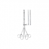 Intestinal Forceps 